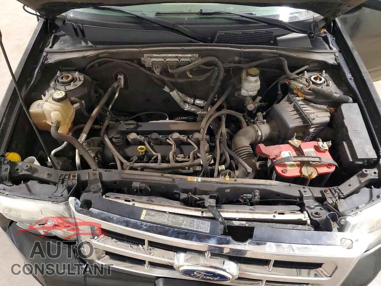 FORD ESCAPE 2011 - 1FMCU0C71BKC41563