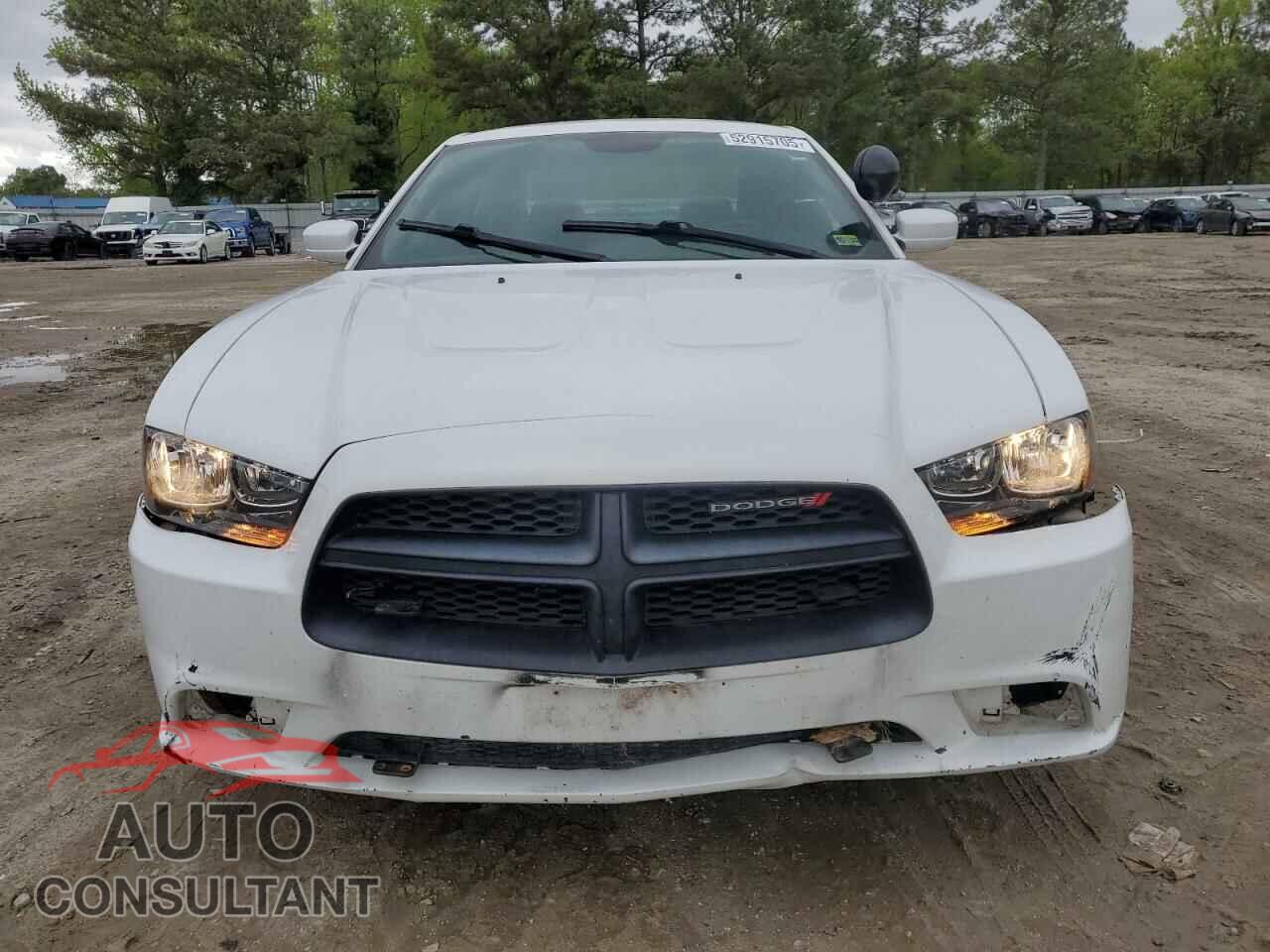 DODGE CHARGER 2014 - 2C3CDXAT8EH132983