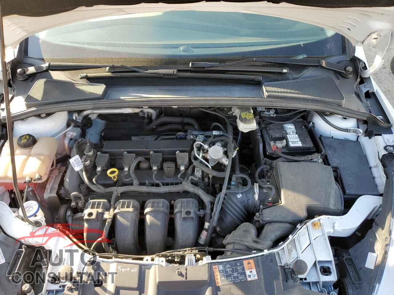 FORD FOCUS 2017 - 1FADP3K25HL296677