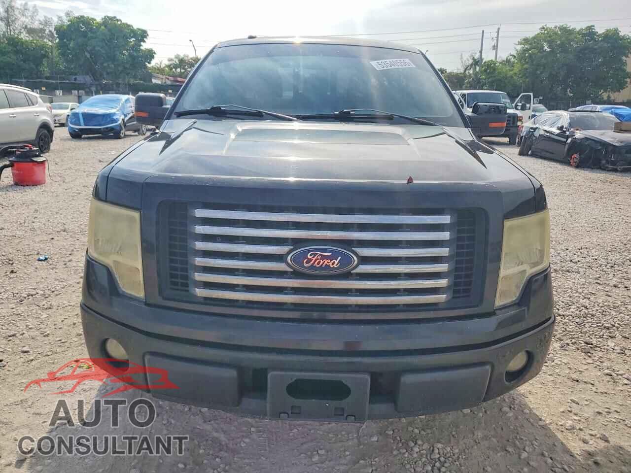 FORD F150 2011 - 1FTEW1CM3BFA69676
