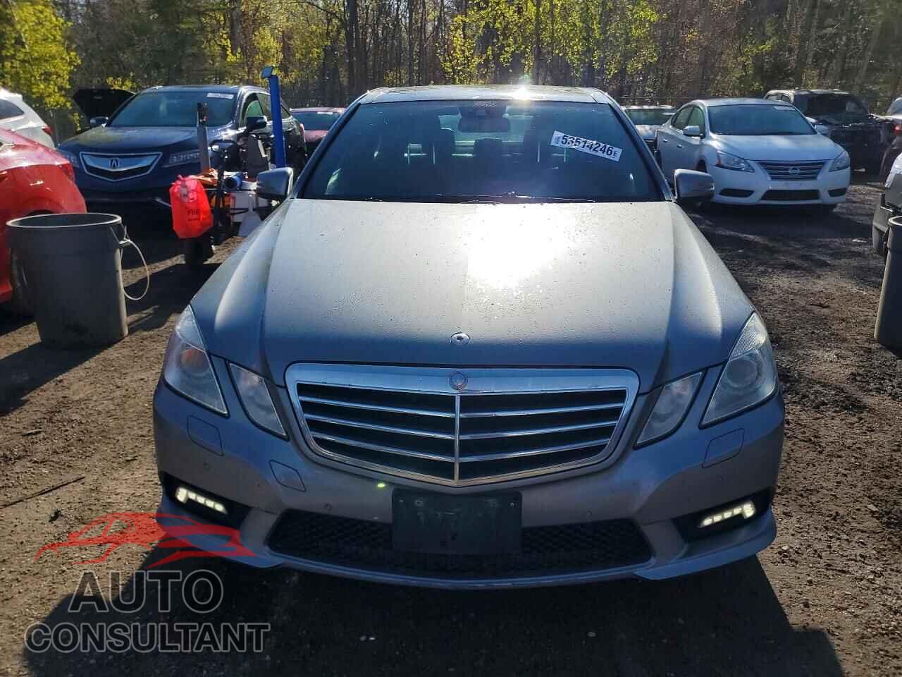 MERCEDES-BENZ E-CLASS 2010 - WDDHF8HB3AA220689