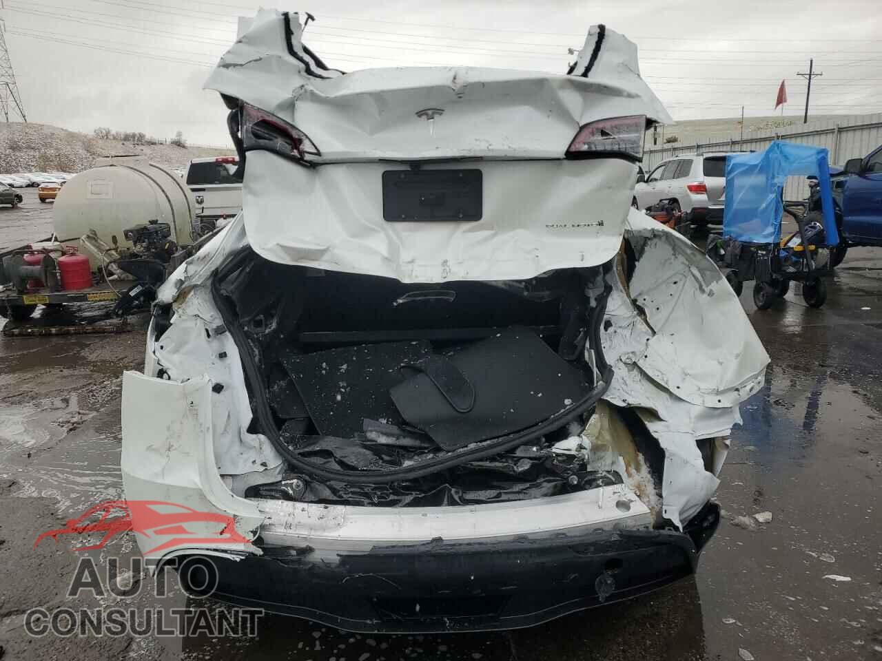 TESLA MODEL Y 2024 - 7SAYGDEE2RF160327