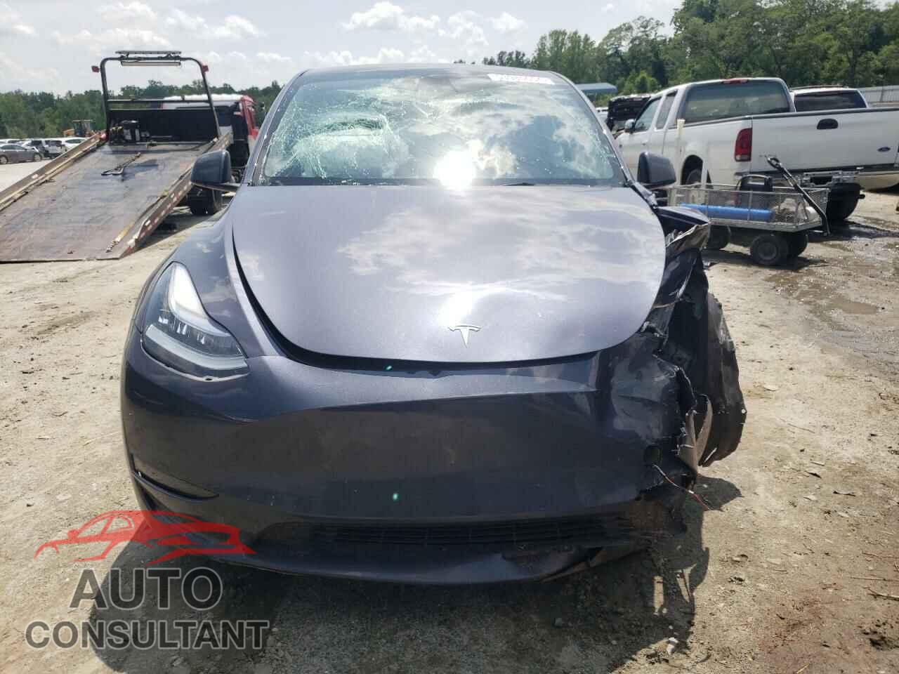 TESLA MODEL Y 2023 - 7SAYGDEE6PA058829