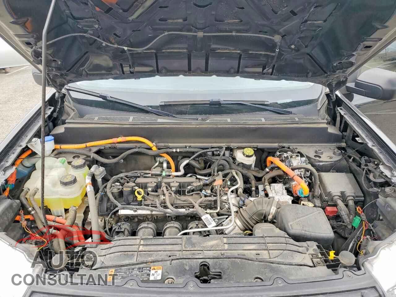 FORD MAVERICK X 2024 - 3FTTW8A36RRA15165