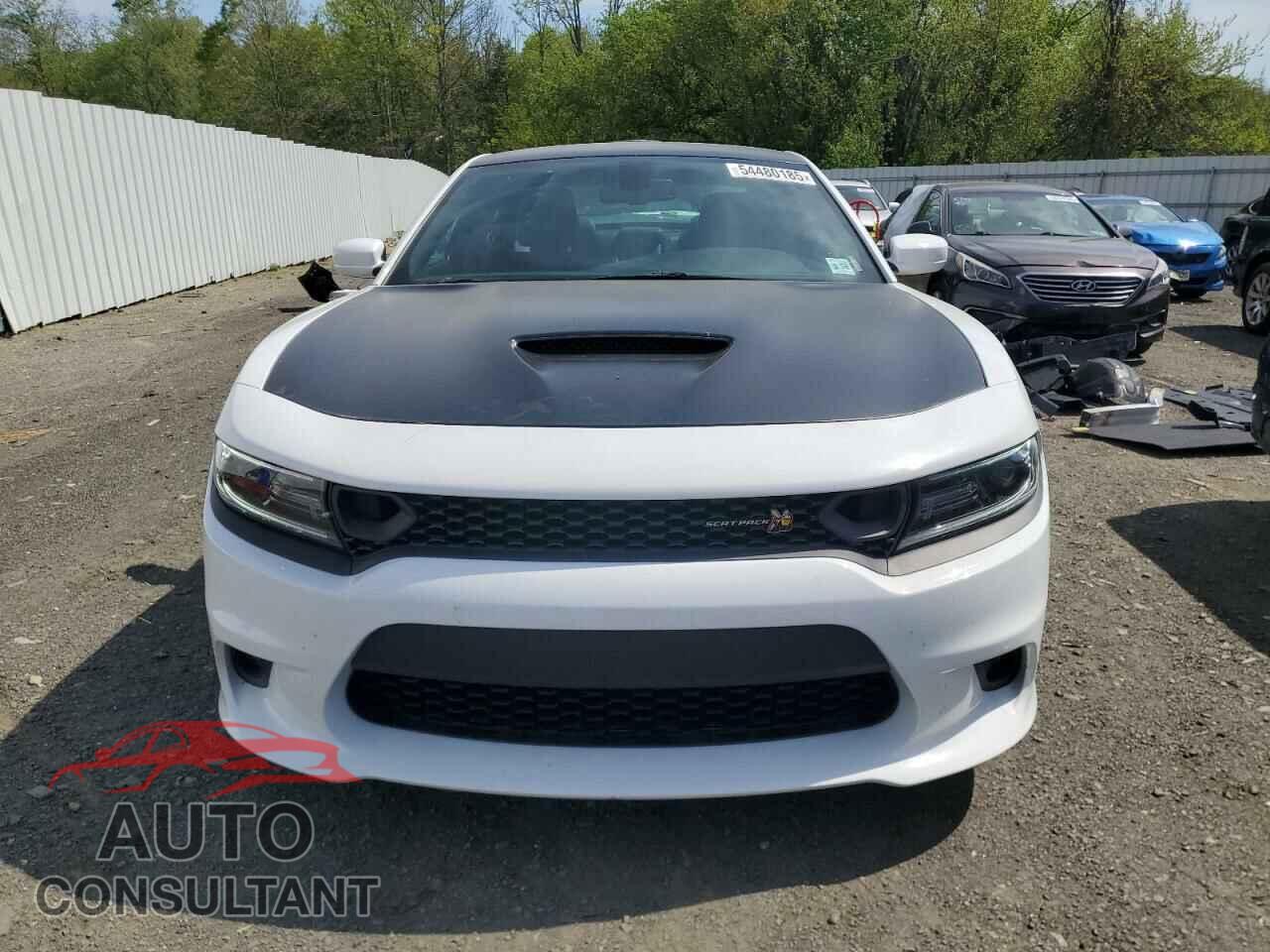 DODGE CHARGER 2021 - 2C3CDXGJXMH511648