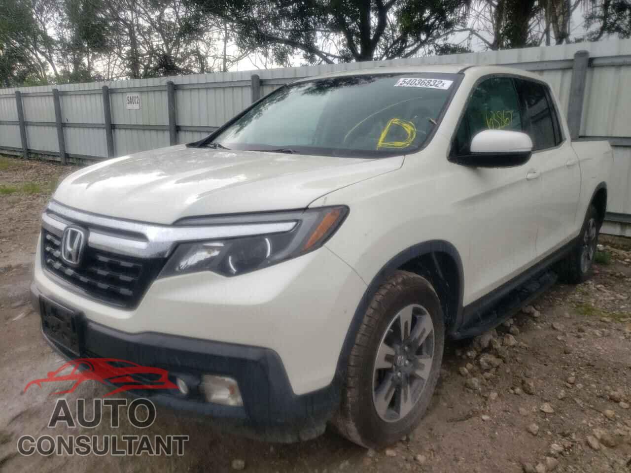 HONDA RIDGELINE 2019 - 5FPYK3F60KB001364