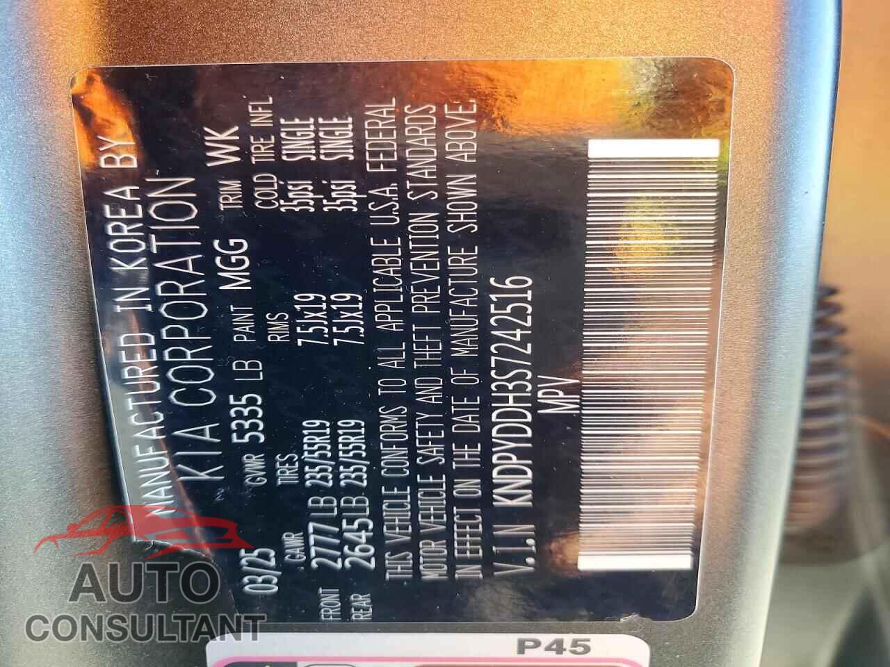 KIA SPORTAGE 2025 - KNDPYDDH3S7242516