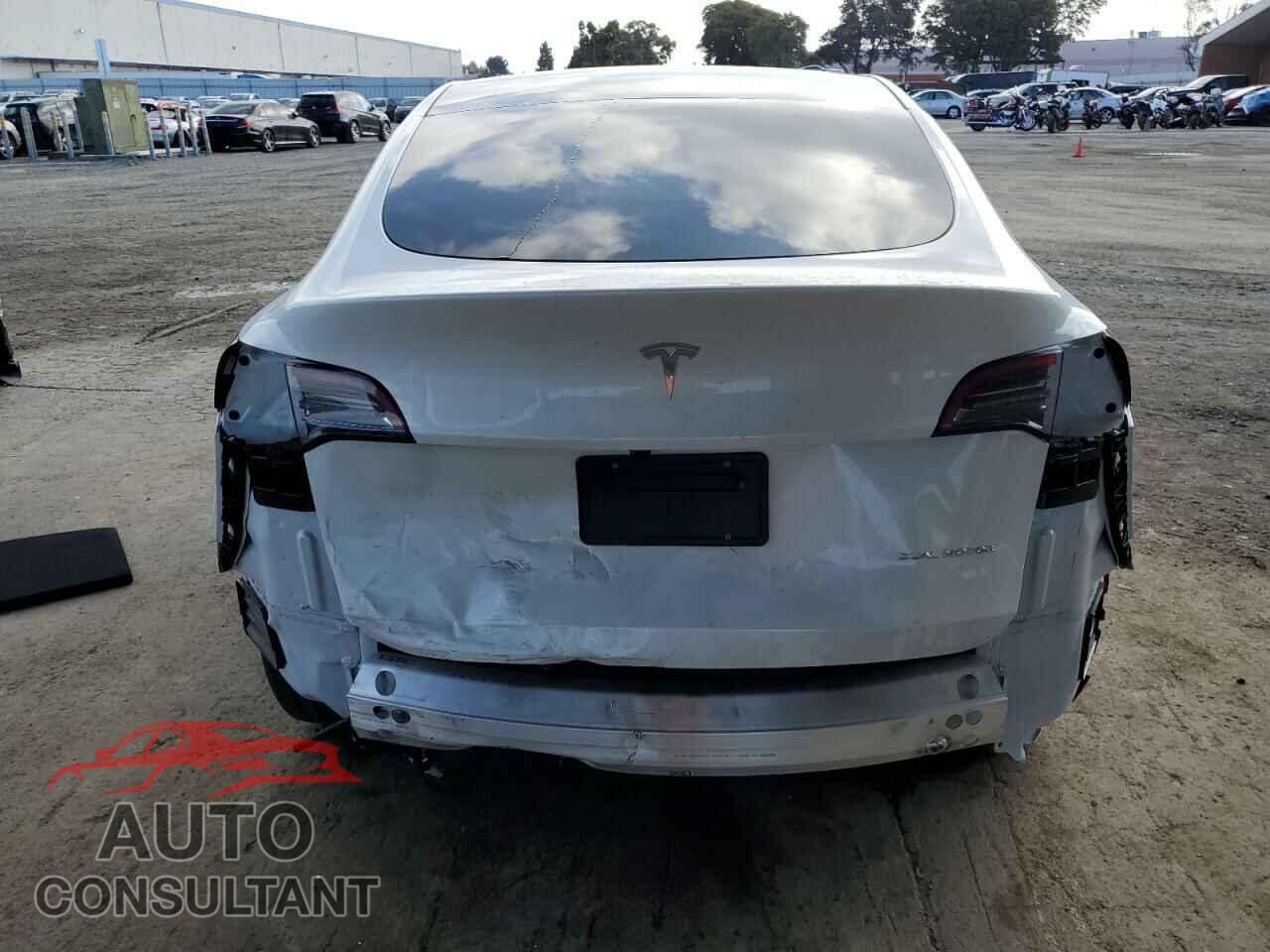 TESLA MODEL Y 2024 - 7SAYGDEE5RF196822