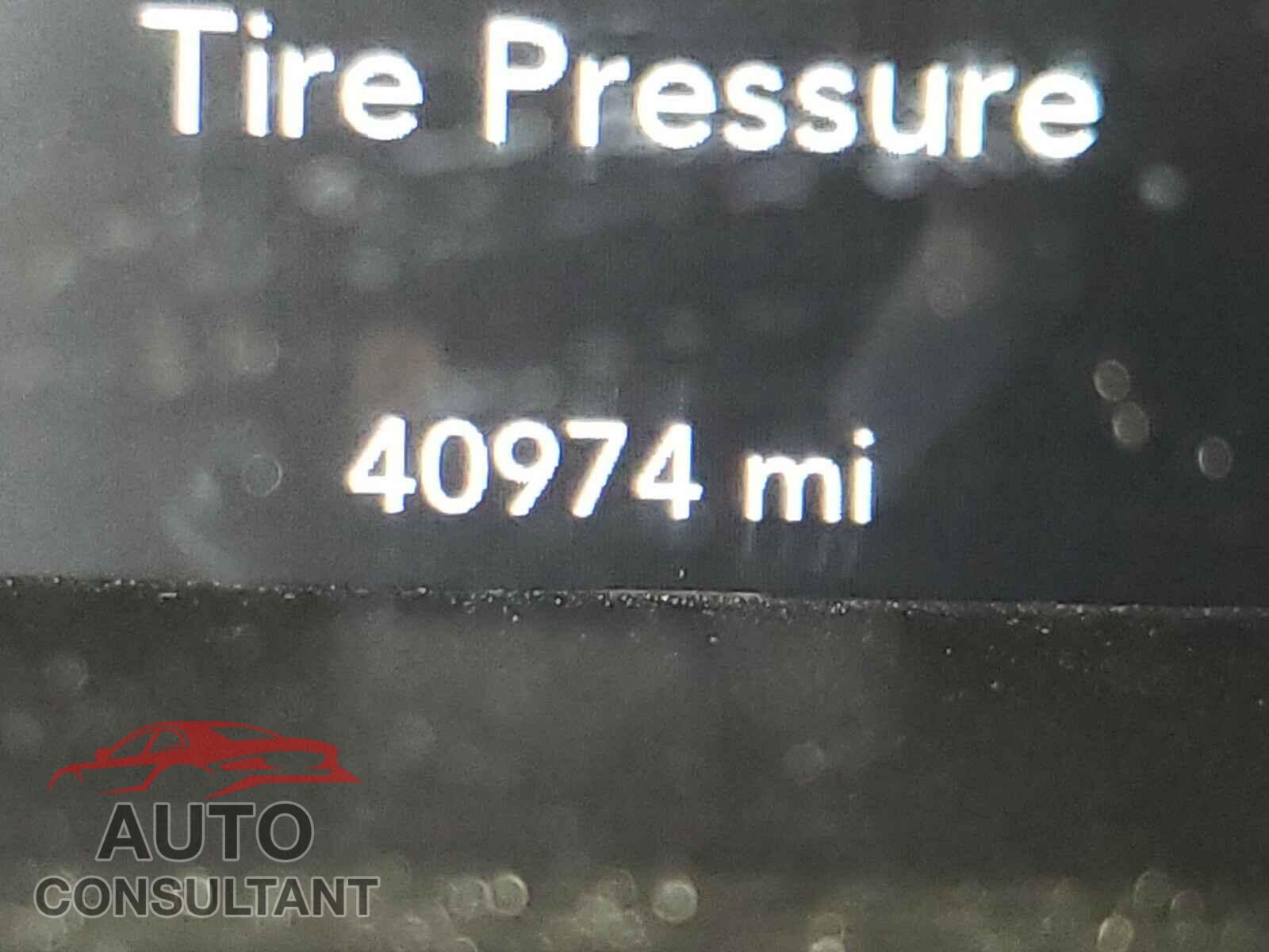 DODGE CHALLENGER 2019 - 2C3CDZAG9KH537230