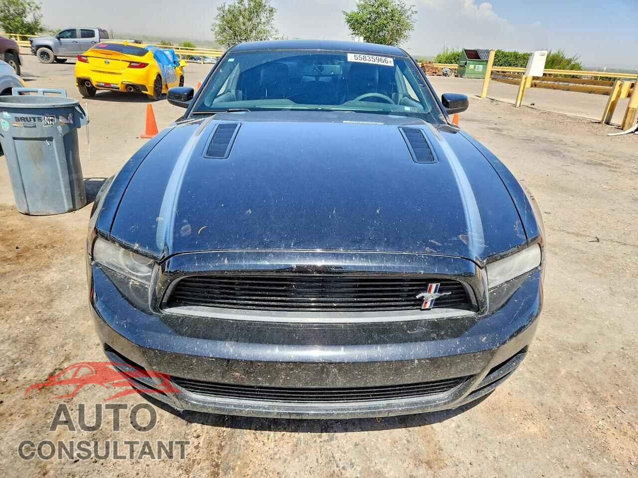 FORD MUSTANG 2014 - 1ZVBP8CF4E5221952