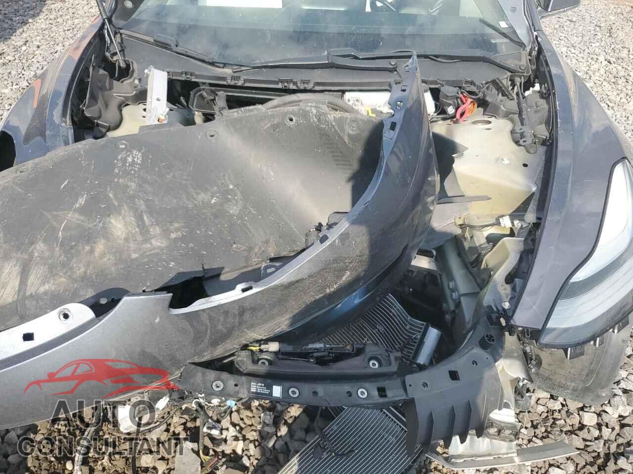 TESLA MODEL 3 2020 - 5YJ3E1EC4LF669563