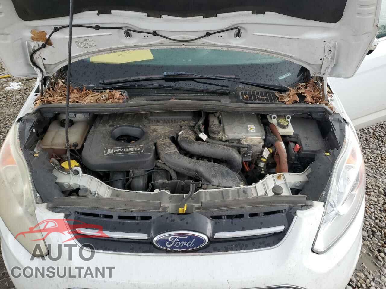 FORD CMAX 2014 - 1FADP5BU3EL507738
