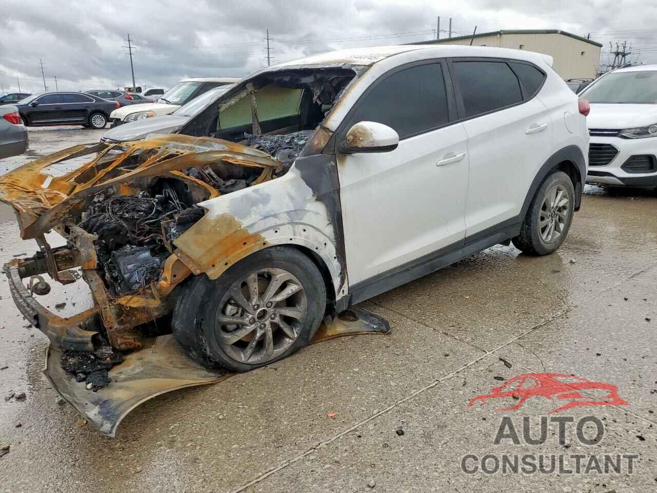 HYUNDAI TUCSON 2017 - KM8J23A47HU464761