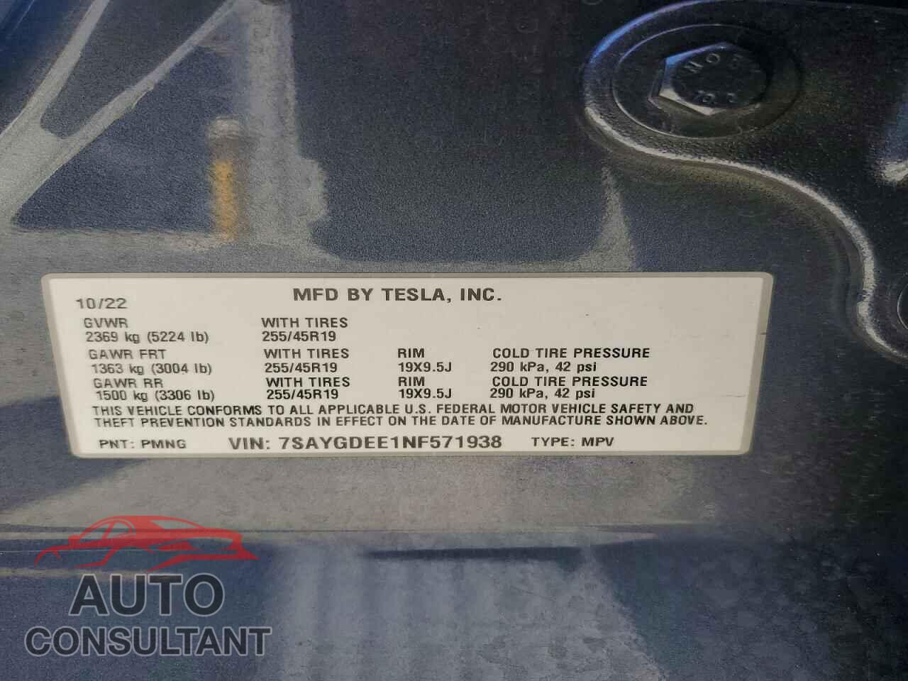 TESLA MODEL Y 2022 - 7SAYGDEE1NF571938