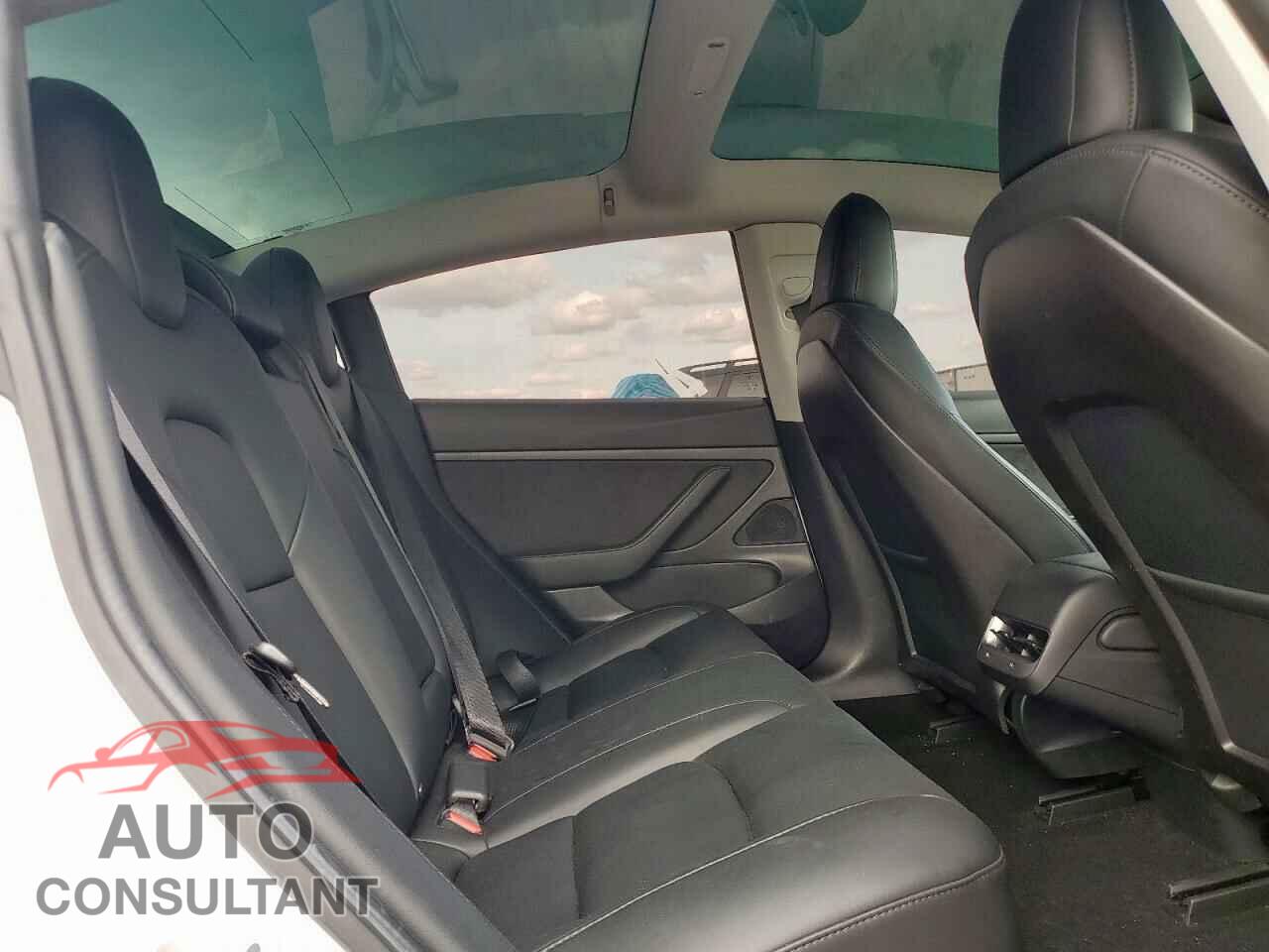 TESLA MODEL 3 2020 - 5YJ3E1EA7LF613342