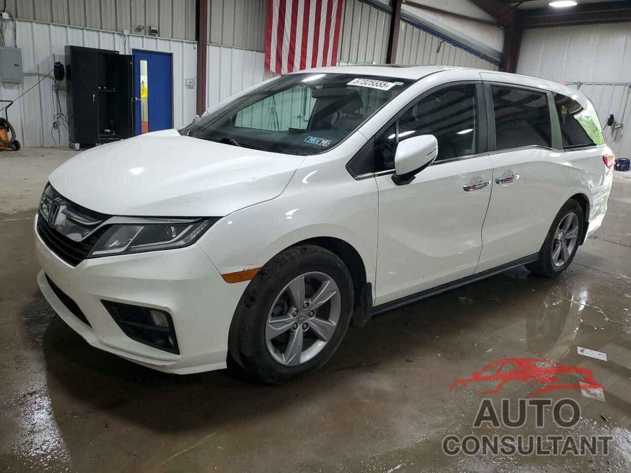 HONDA All Models 2019 - 5FNRL6H71KB122079