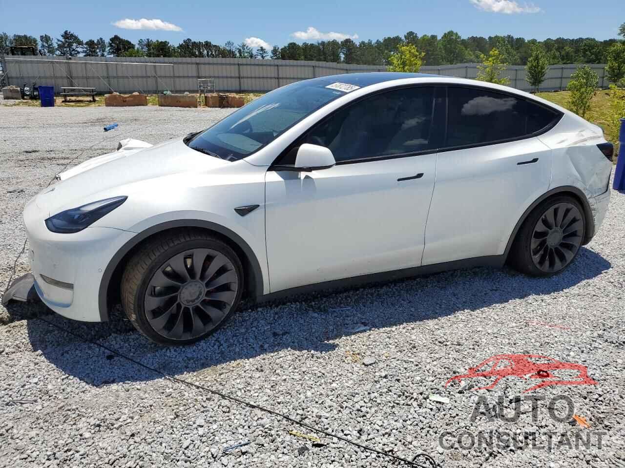 TESLA MODEL Y 2022 - 7SAYGDEF9NF515612