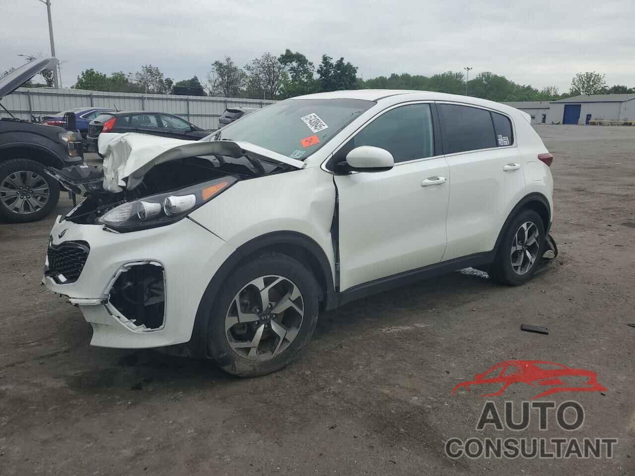 KIA SPORTAGE 2022 - KNDPM3AC3N7952275