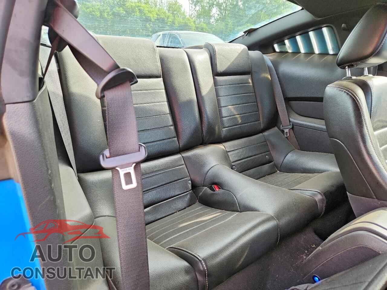 FORD MUSTANG 2010 - 1ZVBP8CH9A5160948