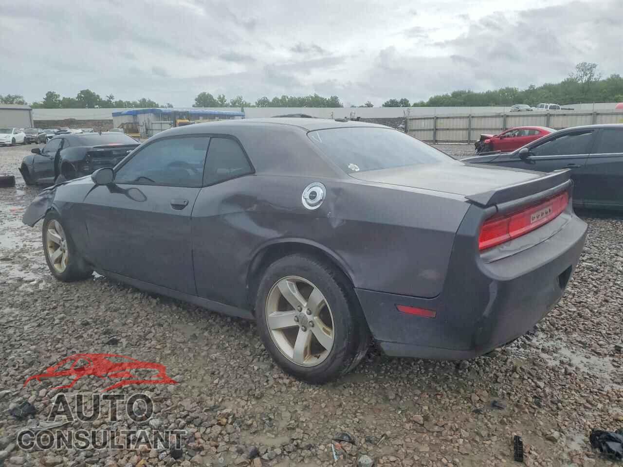 DODGE CHALLENGER 2013 - 2C3CDYAG5DH695657