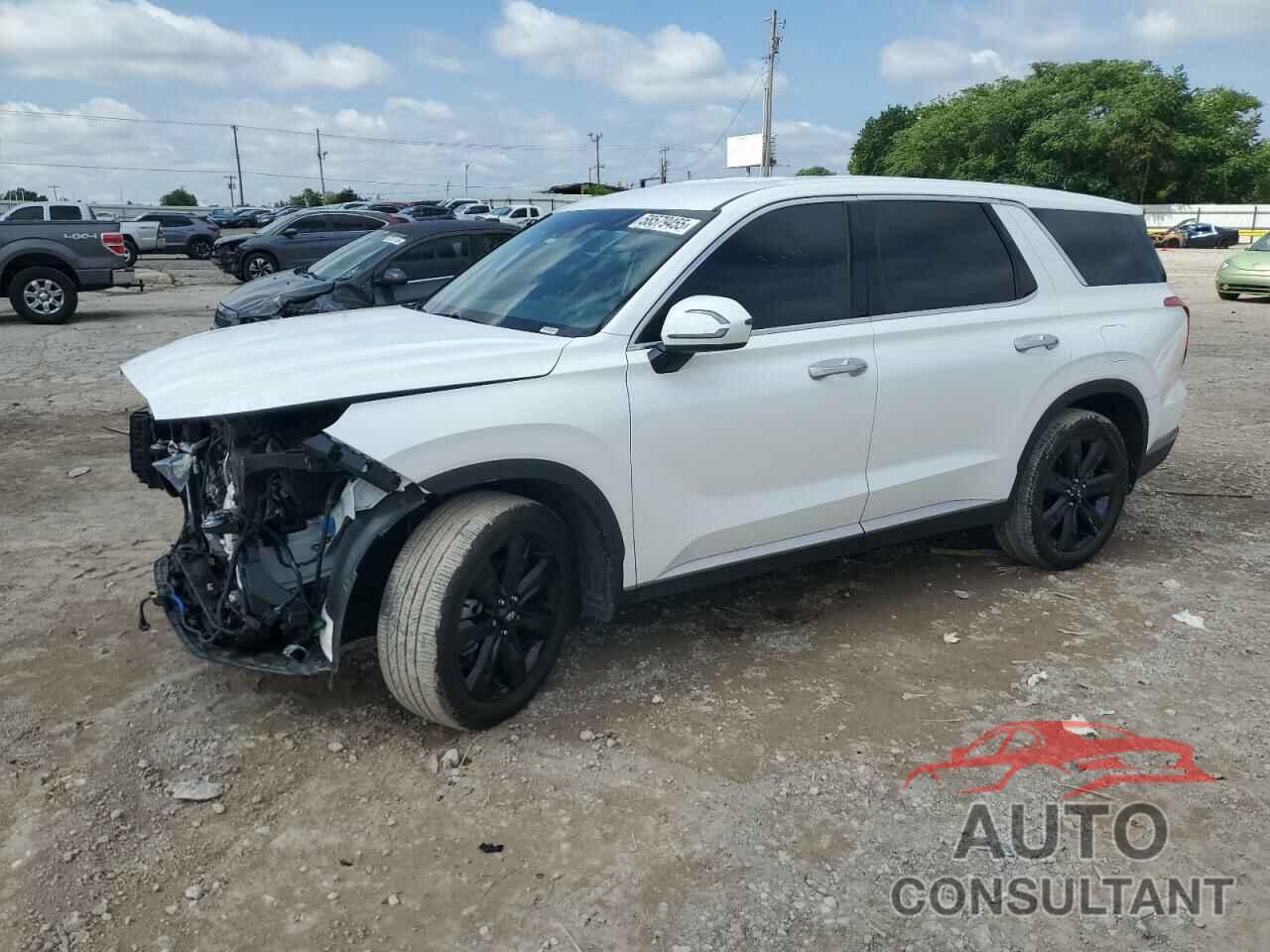 HYUNDAI PALISADE 2023 - KM8R1DGE8PU590833