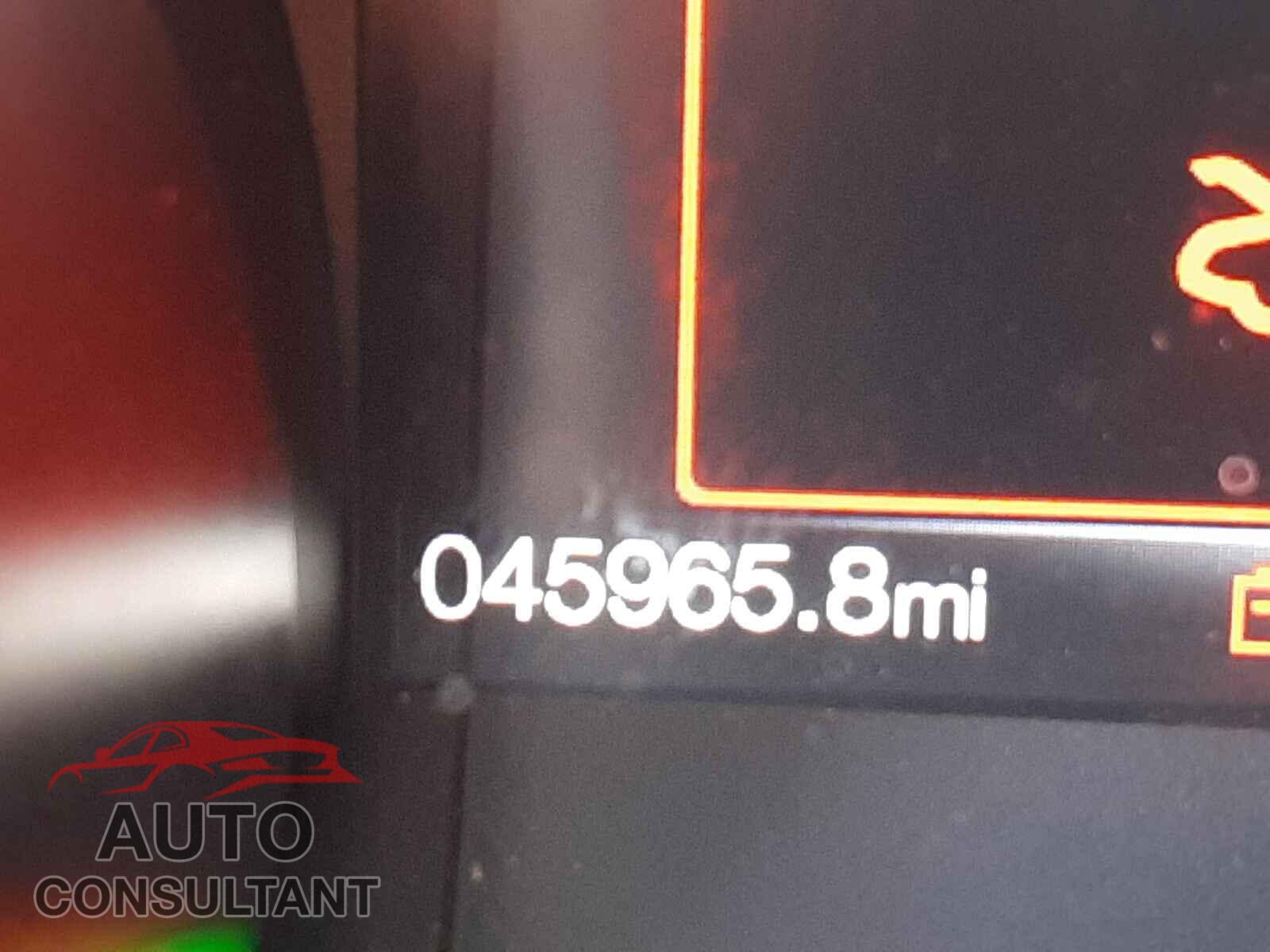 FORD MUSTANG 2019 - 1FA6P8CF6K5151926
