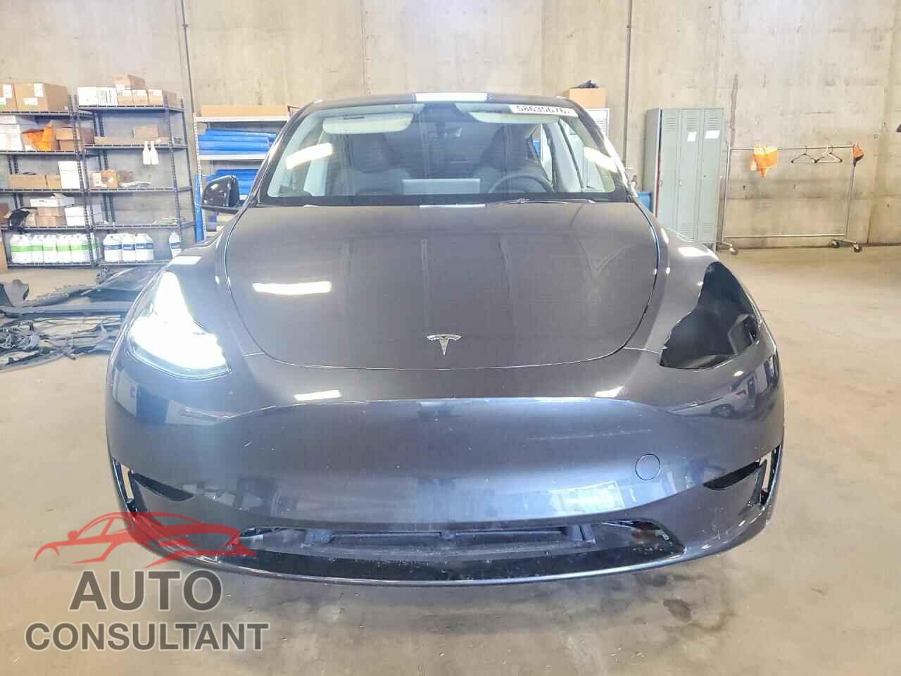 TESLA MODEL Y 2024 - 7SAYGDEE8RF156444