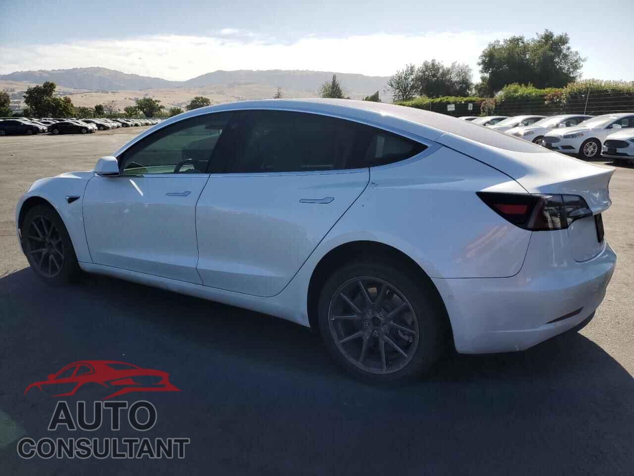 TESLA MODEL 3 2019 - 5YJ3E1EA1KF327209