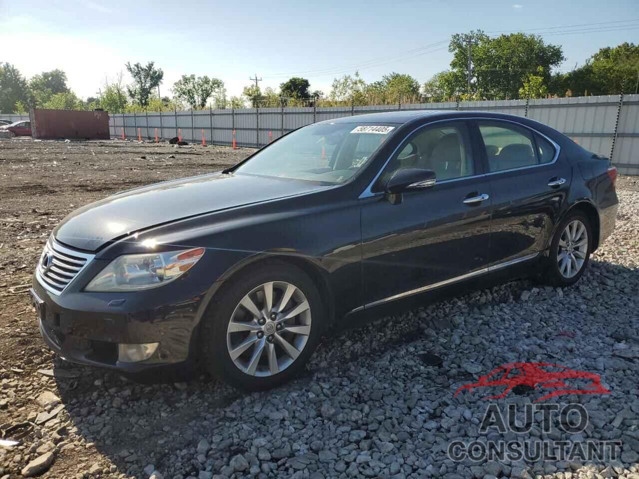 LEXUS LS460 2011 - JTHCL5EF8B5011265