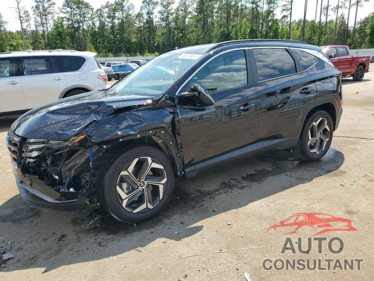 HYUNDAI TUCSON 2024 - KM8JCCD17RU175475