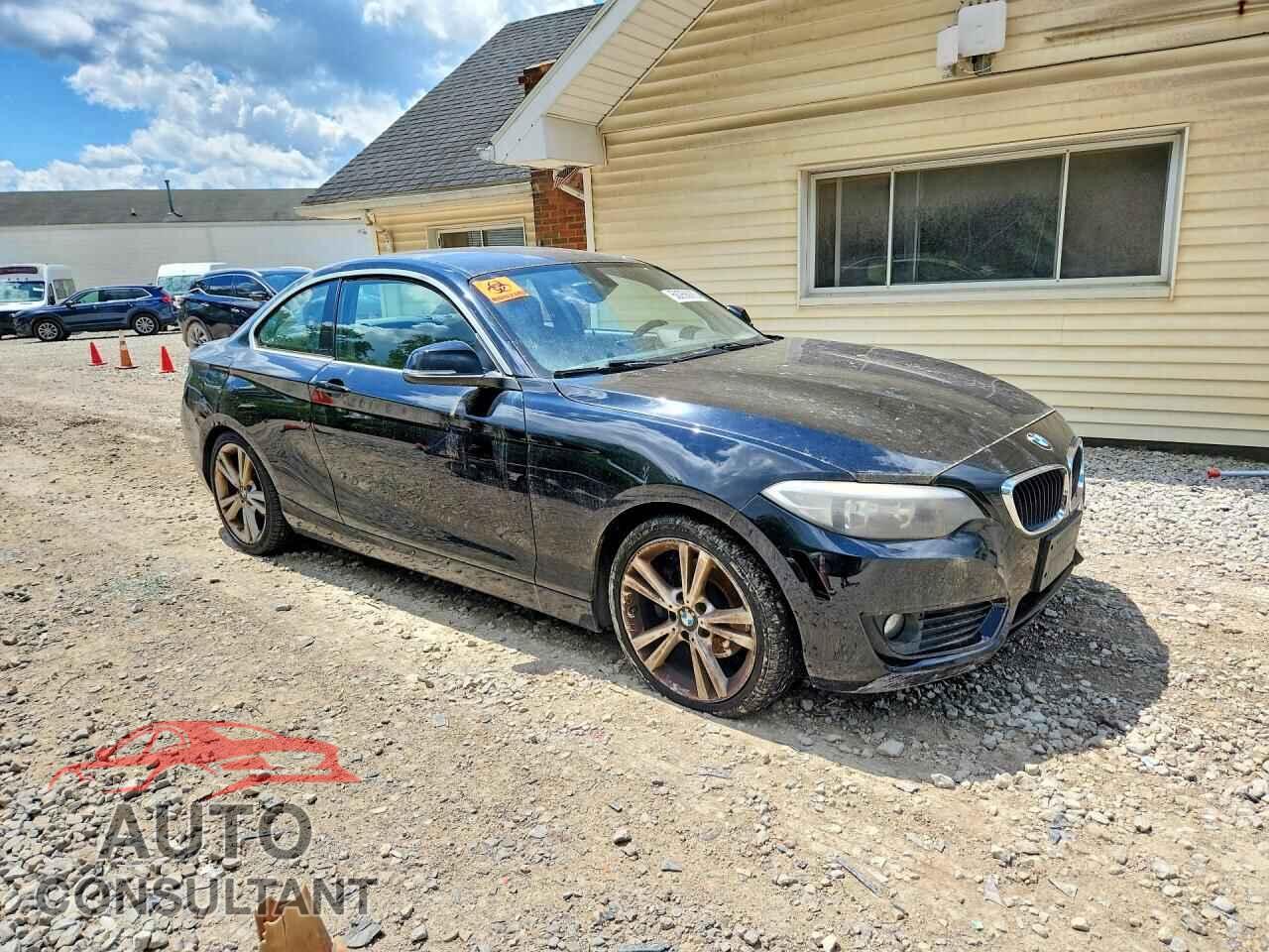 BMW 2 SERIES 2015 - WBA1F7C53FVX96237