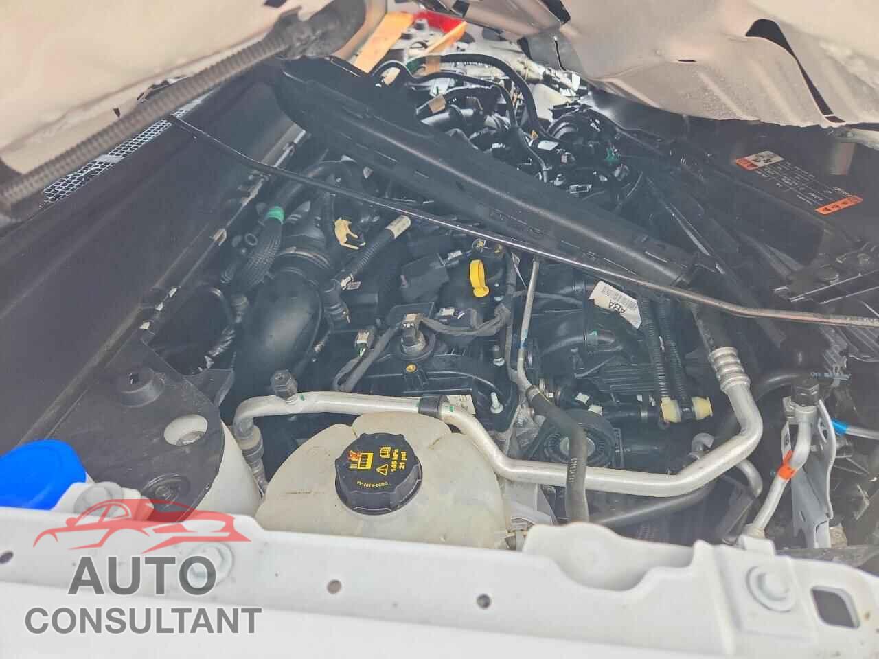 FORD MAVERICK 2024 - 3FTTW8B93RRB42782