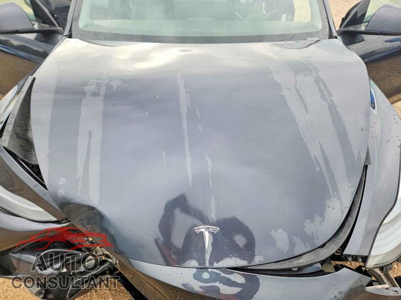 TESLA MODEL Y 2025 - 7SAYGDEE4SF289580