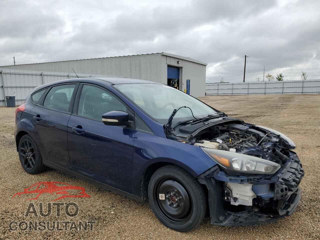 FORD FOCUS 2016 - 1FADP3K23GL298894
