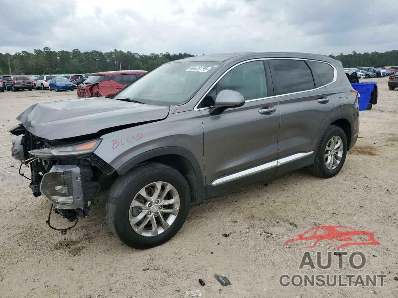 HYUNDAI SANTA FE 2019 - 5NMS2CADXKH028297