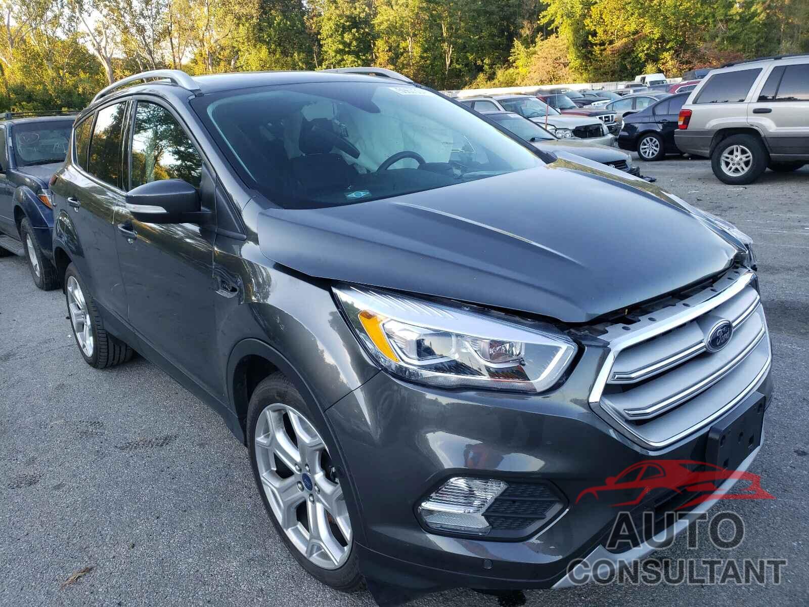FORD ESCAPE 2019 - 1FMCU0J99KUA15120