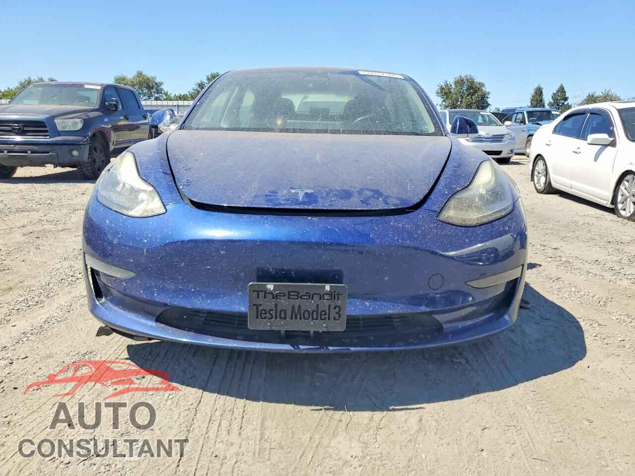 TESLA MODEL 3 2019 - 5YJ3E1EB3KF194204