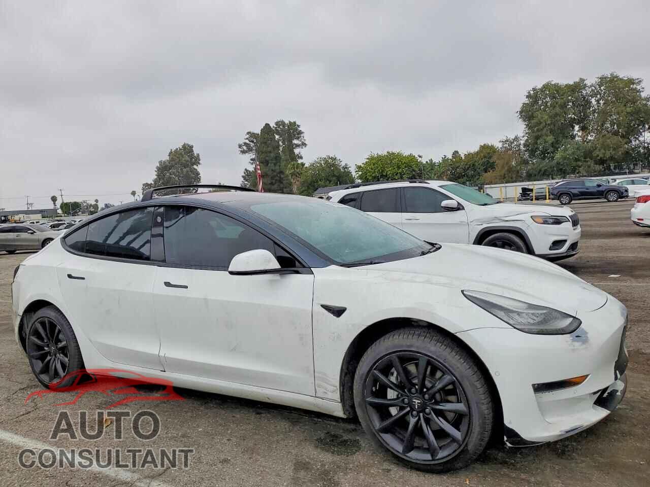 TESLA MODEL 3 2018 - 5YJ3E1EA8JF005813