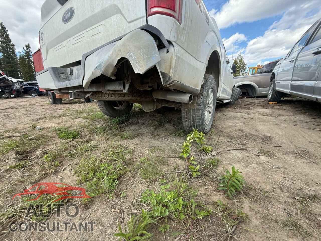 FORD F-150 2019 - 1FTEW1E48KFB70600