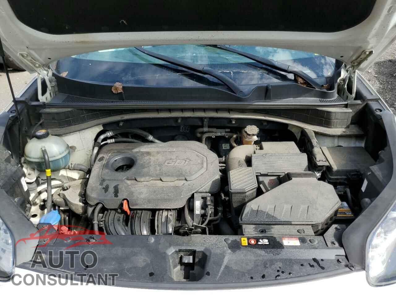 KIA SPORTAGE 2017 - KNDPMCAC4H7032028