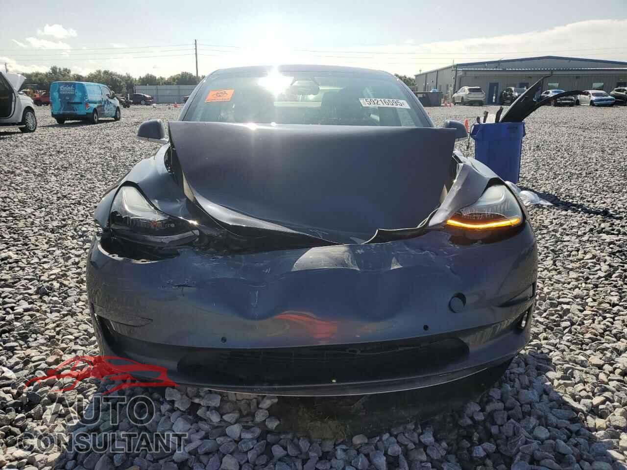 TESLA MODEL 3 2019 - 5YJ3E1EA4KF325650