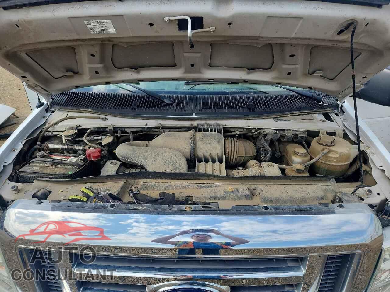 FORD ECONOLINE 2011 - 1FBSS3BL0BDB06444