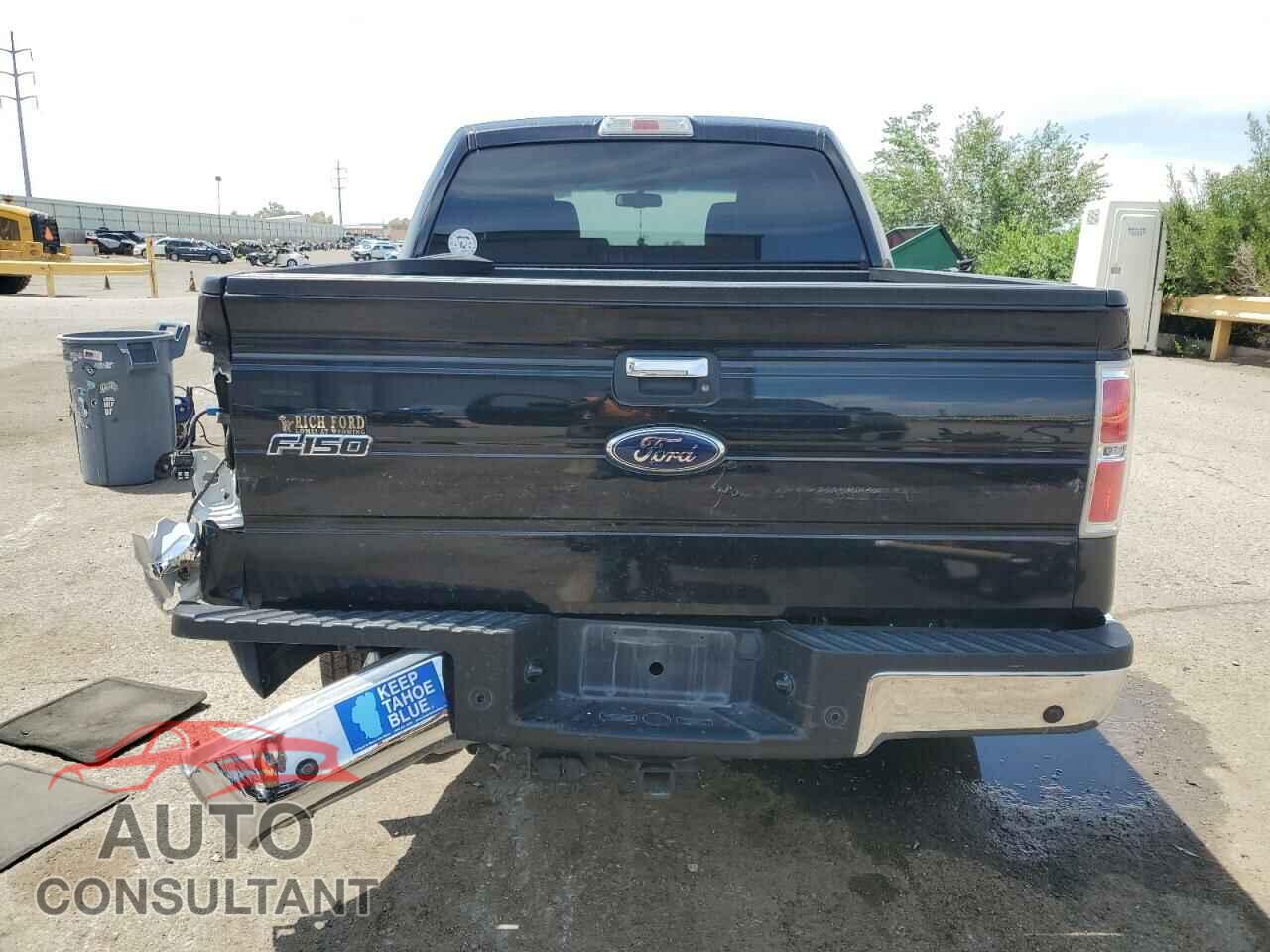 FORD F-150 2010 - 1FTEW1E89AFB36912