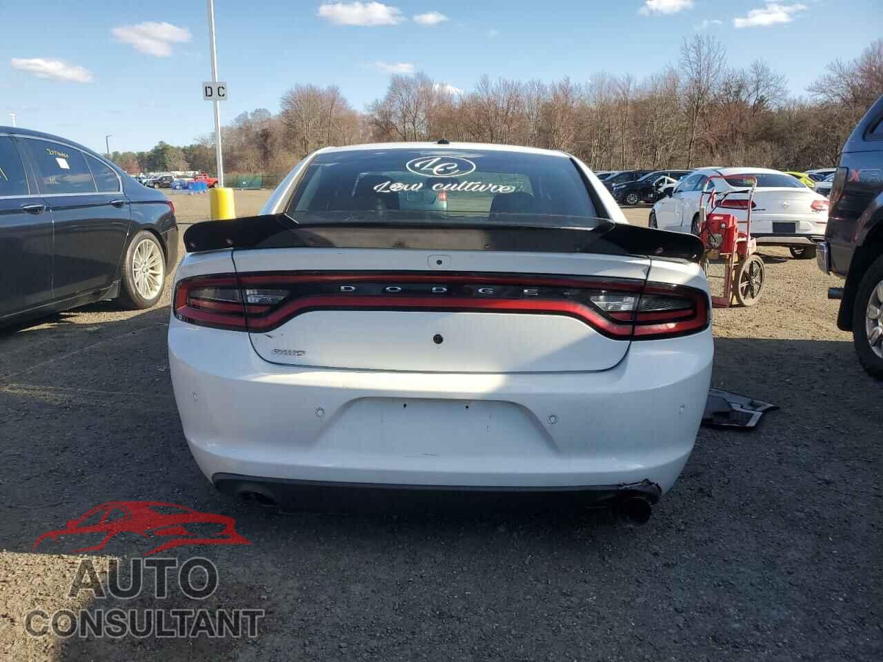 DODGE CHARGER 2019 - 2C3CDXKTXKH647638