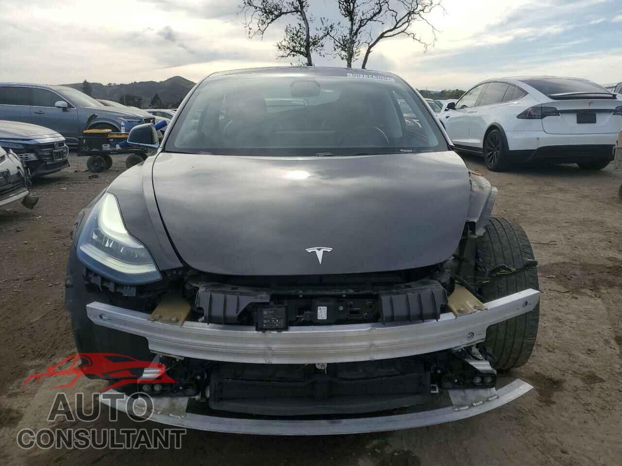 TESLA MODEL 3 2019 - 5YJ3E1EB1KF212019