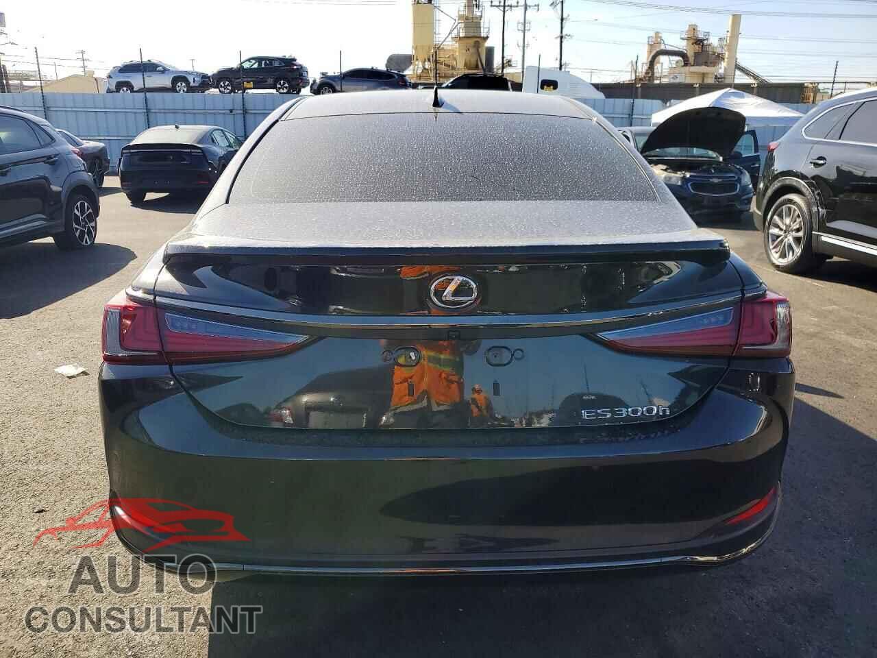 LEXUS ES 300H F 2025 - 58ADA1C19SU071576