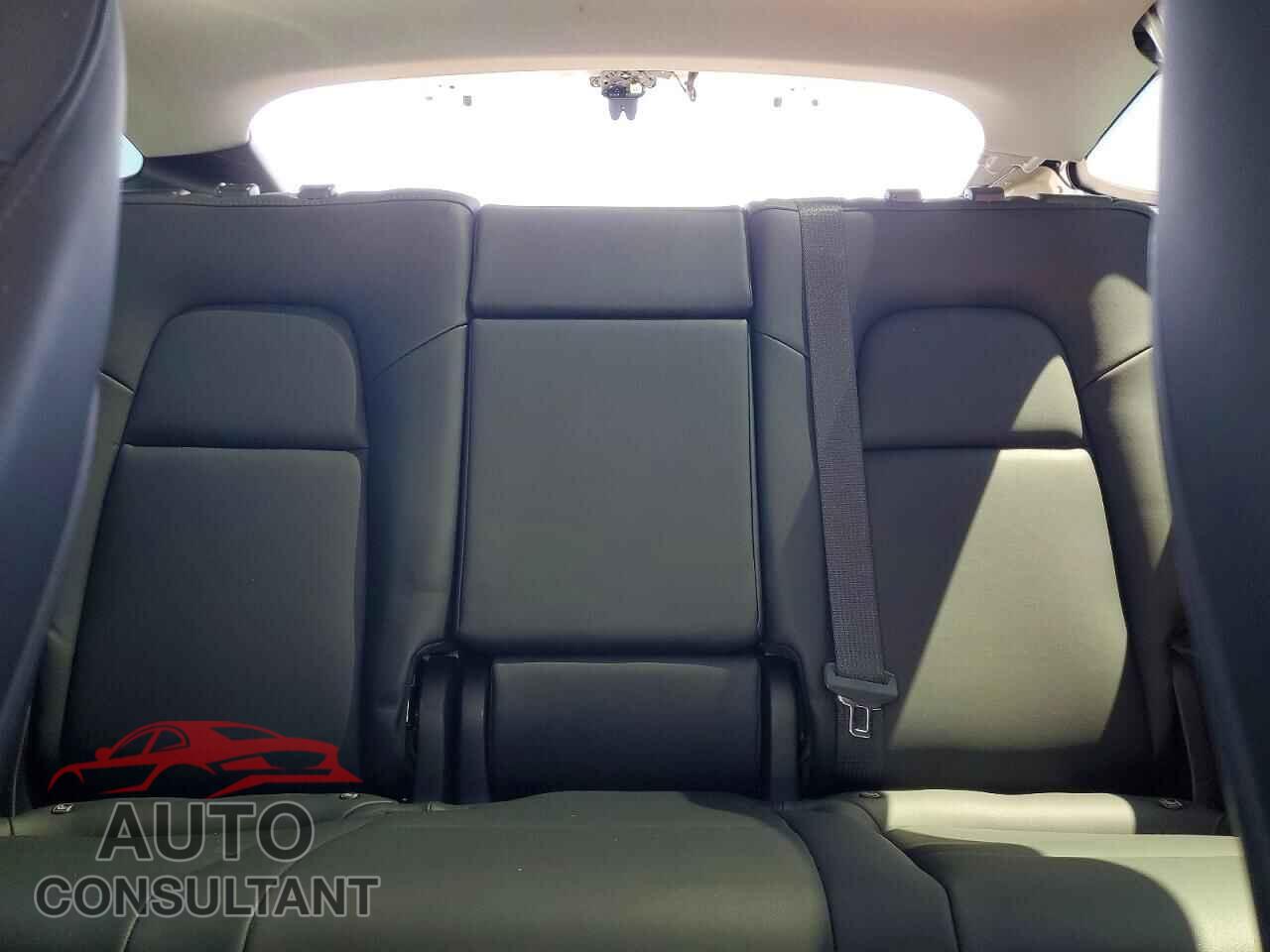 TESLA MODEL Y 2023 - 7SAYGDEE8PF804507