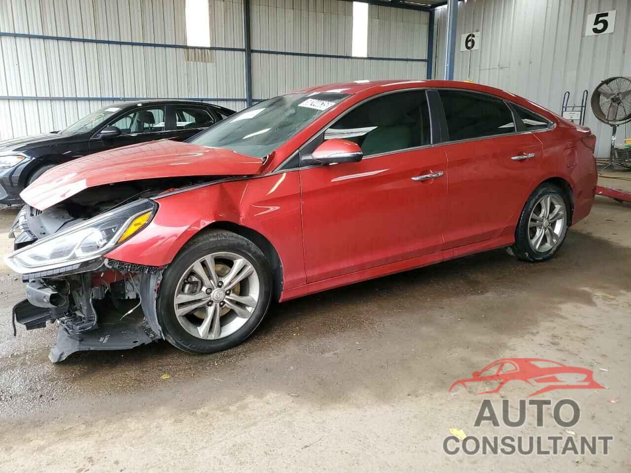 HYUNDAI SONATA 2019 - 5NPE34AF1KH770012