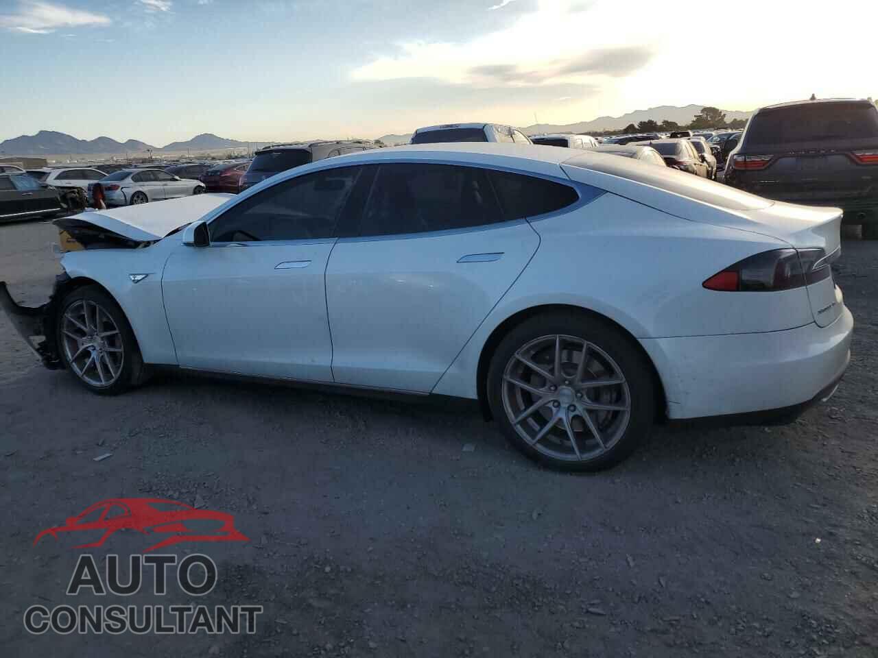 TESLA MODEL S 2013 - 5YJSA1CG0DFP03870