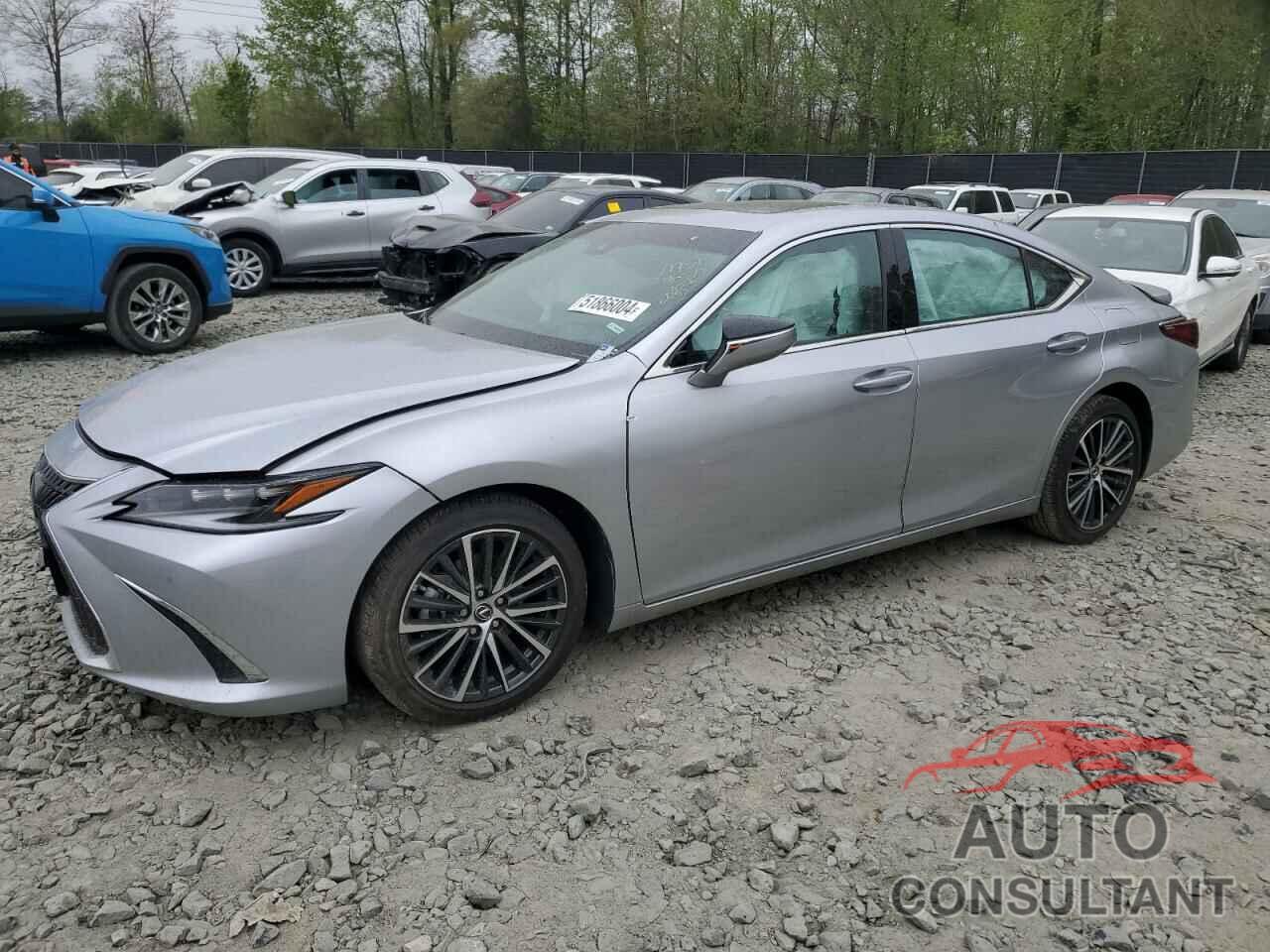 LEXUS ES300 2024 - 58ADA1C11RU042793